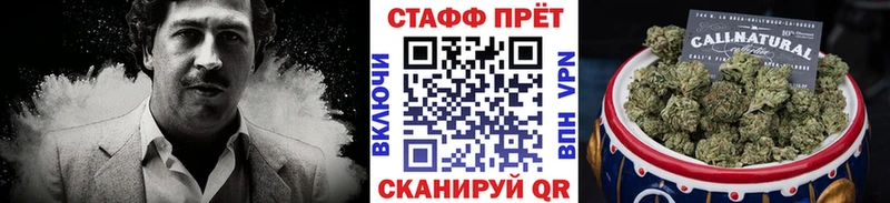 Где купить Онега Бошки Шишки Alpha PVP Cocaine МЕГА ТОР Псилоцибиновые грибы МЕФ Гашиш