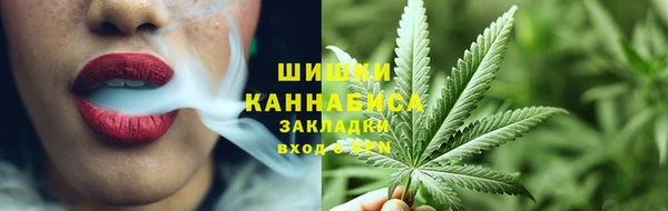амф Белокуриха