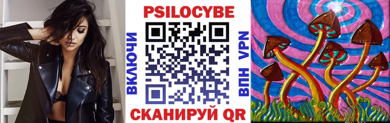 кракен зеркало Онега Галлюциногенные грибы мухоморы
